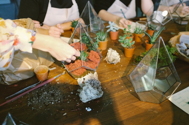 succulent gardening florist and workshop 4k