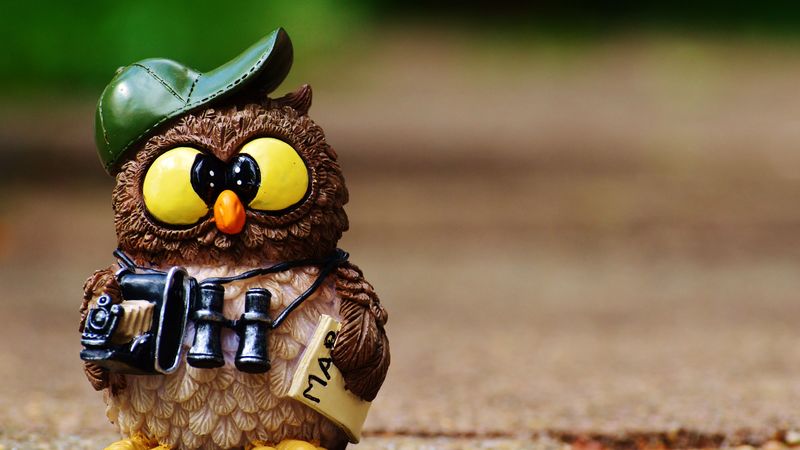 owl, figurine, cap, binoculars, 4k