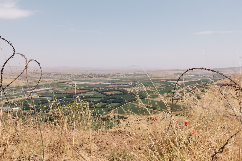 rusty barbed wire on a hill overlooking a town, _rusty barbed wire 4k