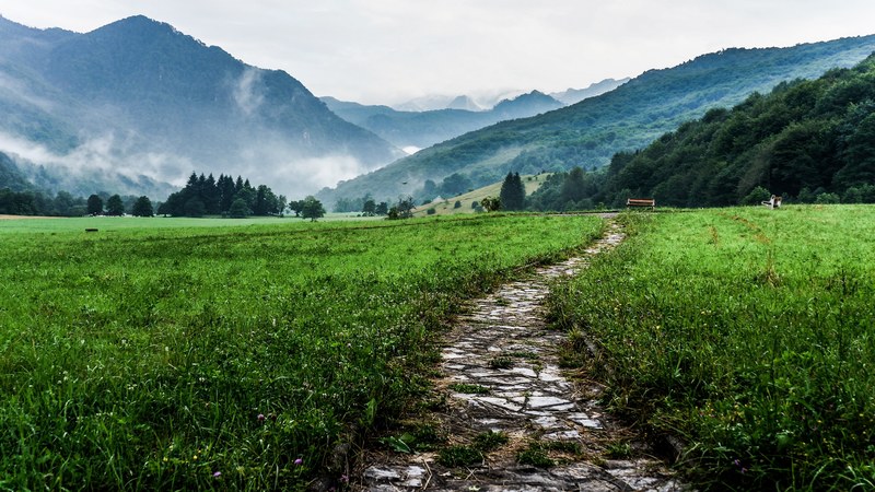 rural stone path leads through a grassy meadow near mountains in sutjeska, mountain walk 4k