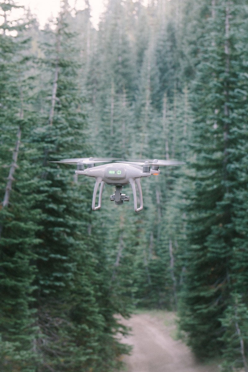 drone tree forest and camera hd, 4k
