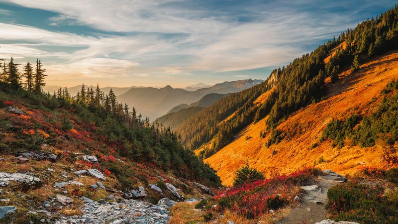 relief, trees, hill, landscape, 4k