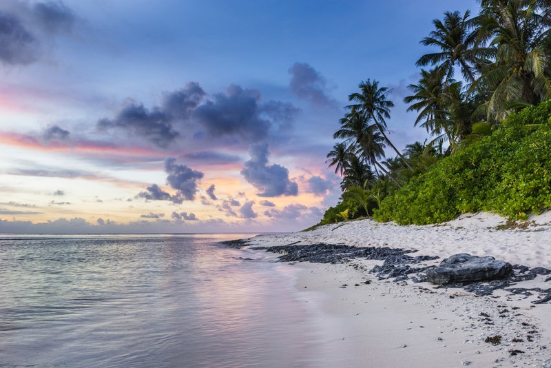 a beautiful beach and palm trees during sunset, sunset beach 4k