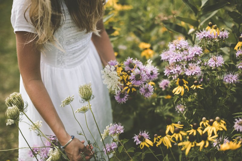 flower dress daisy and petal 4k