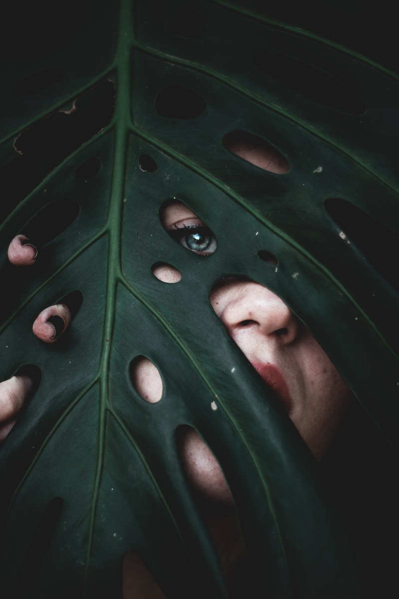 face eye leaf and green hd, 4k