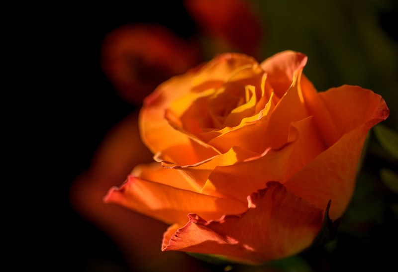 high contrast bright orange and red 4k