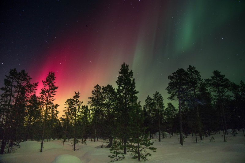 northern light silhouette polar light and sky 4k