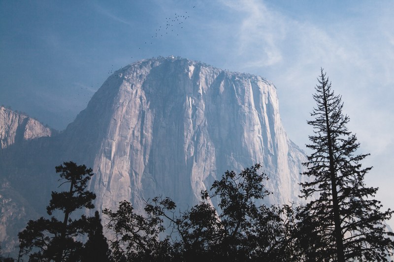 el capitan from tunnel view 4k