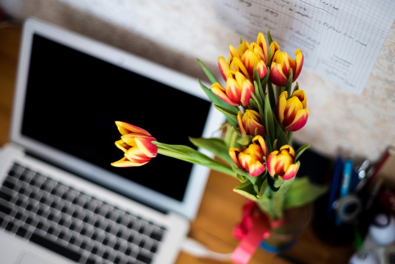 a bouquet of fiery tulips on a desk near a laptop, tulips on a computer desk 4k