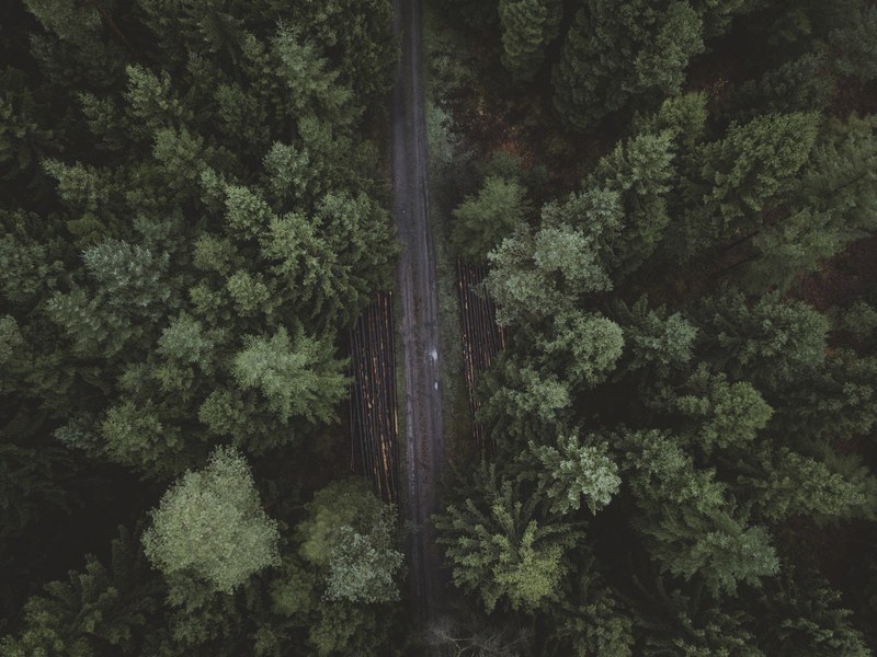 find your path 4k