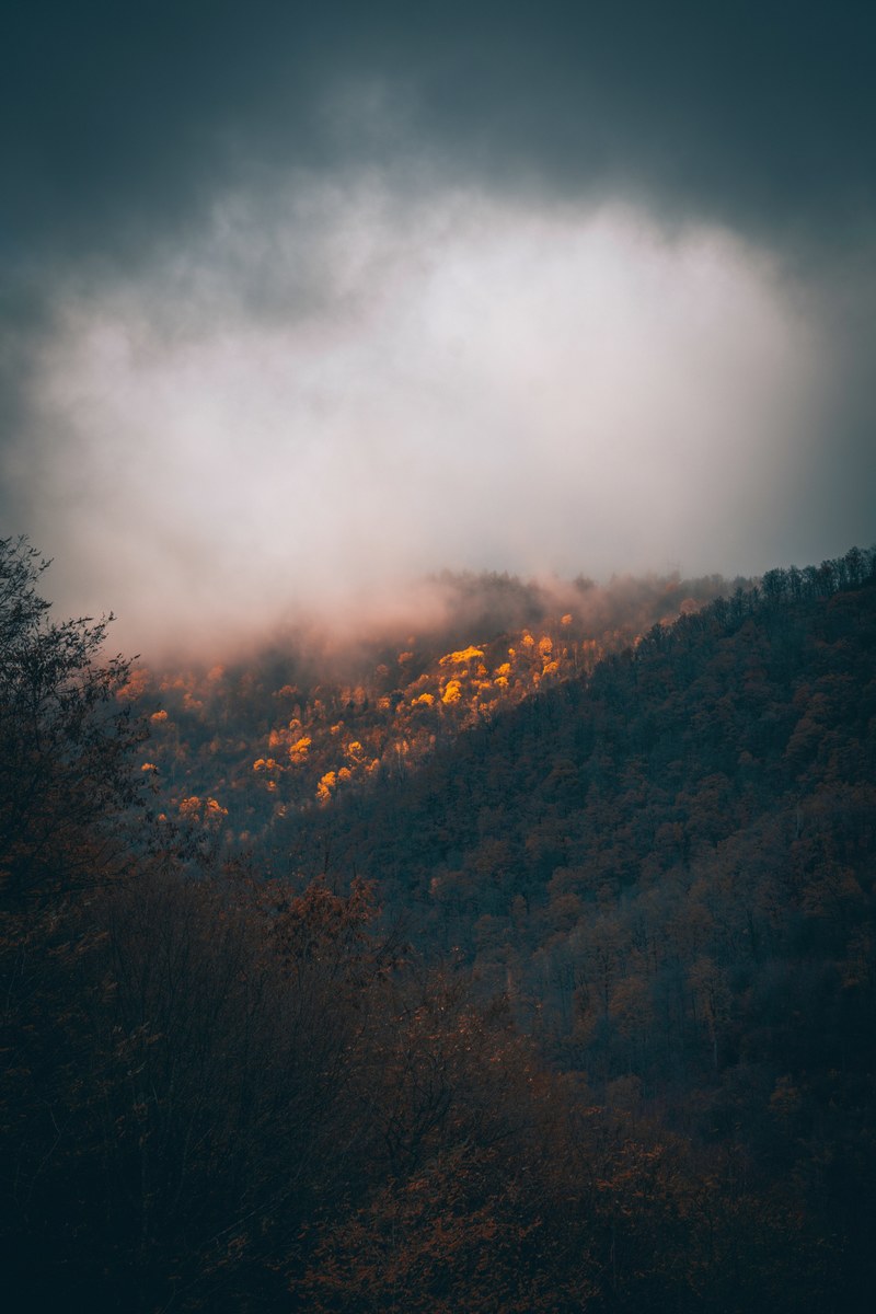 foggy morning in transylvania 4k