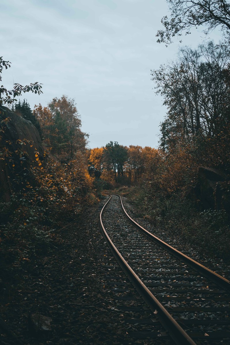 autumn tracks 4k
