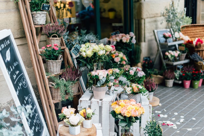 pots and vases with various types of flowers at the entrance to the florists, beauty in flowers 4k