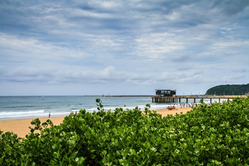 summer beach ocean and pier 4k