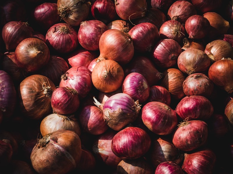 onions harvest vegetable and picked 4k