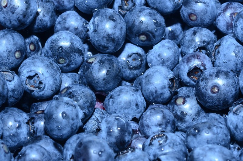 pile of fresh blueberries gathered for a healthy snack, fresh fruit harvest 4k