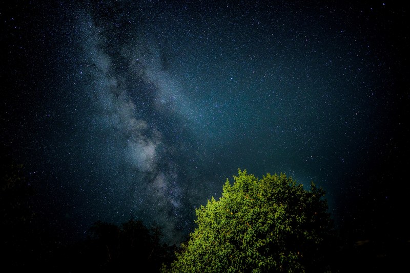 bright stars in a dark night sky over a tree in chatham, starry sky over a tree 4k