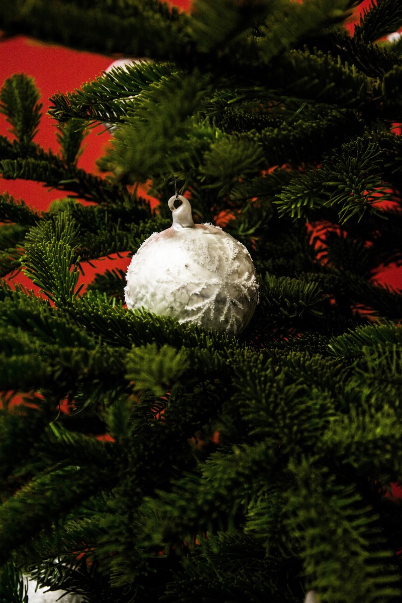tree christmas tree decor and decoration hd, 4k