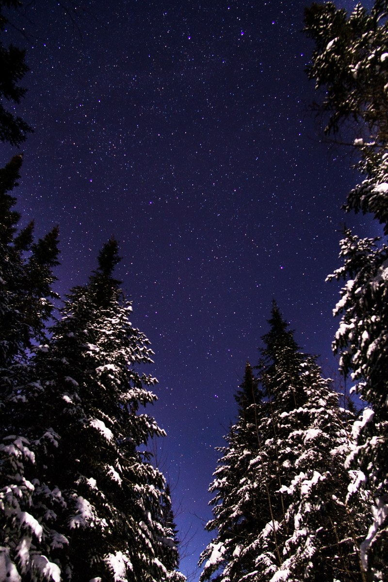 cold hearted stars 4k