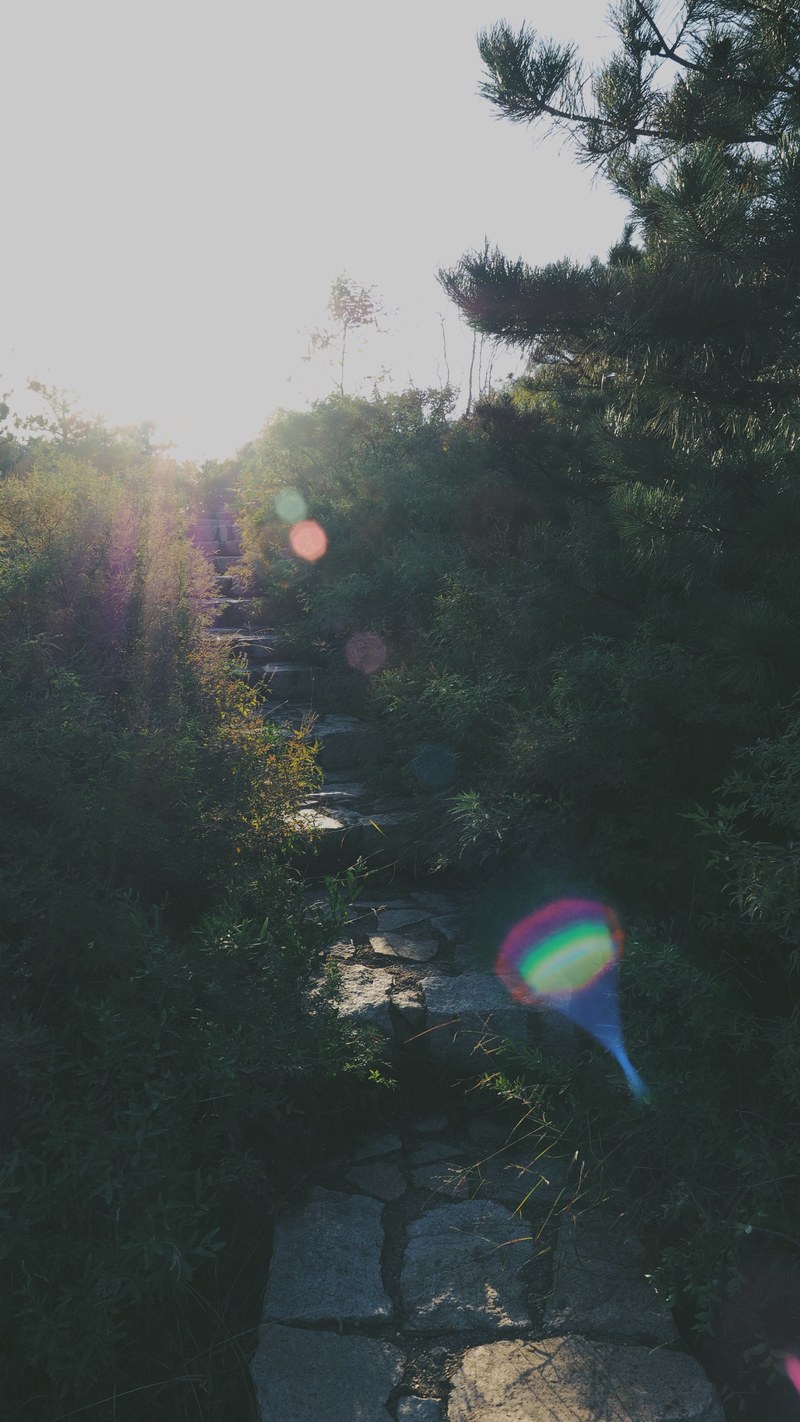 a stepping stone path up a hill with a rainbow color light glossing through, stepping stone staircase 4k