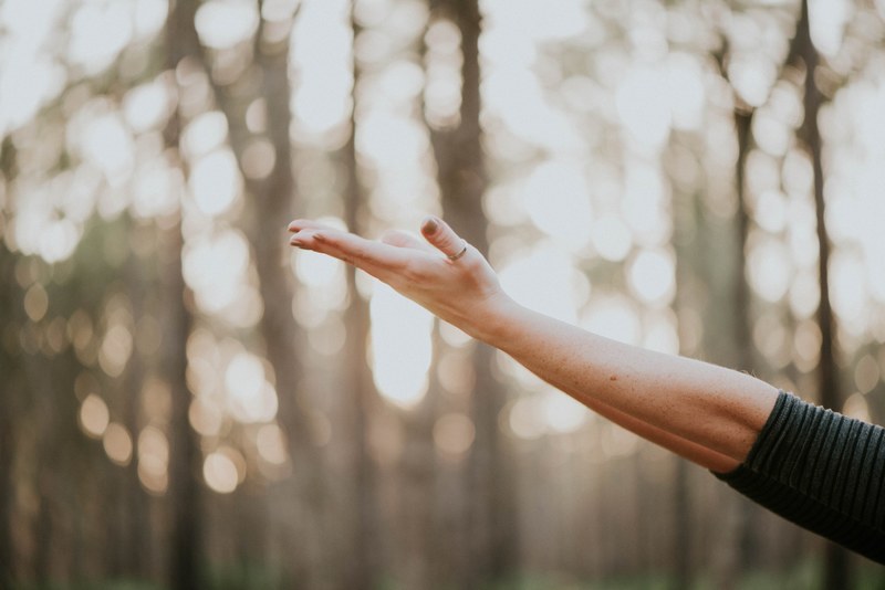 a person stretching out their arm and hand in the forest in julington durbin creek preserve, julington durbin creek 4k