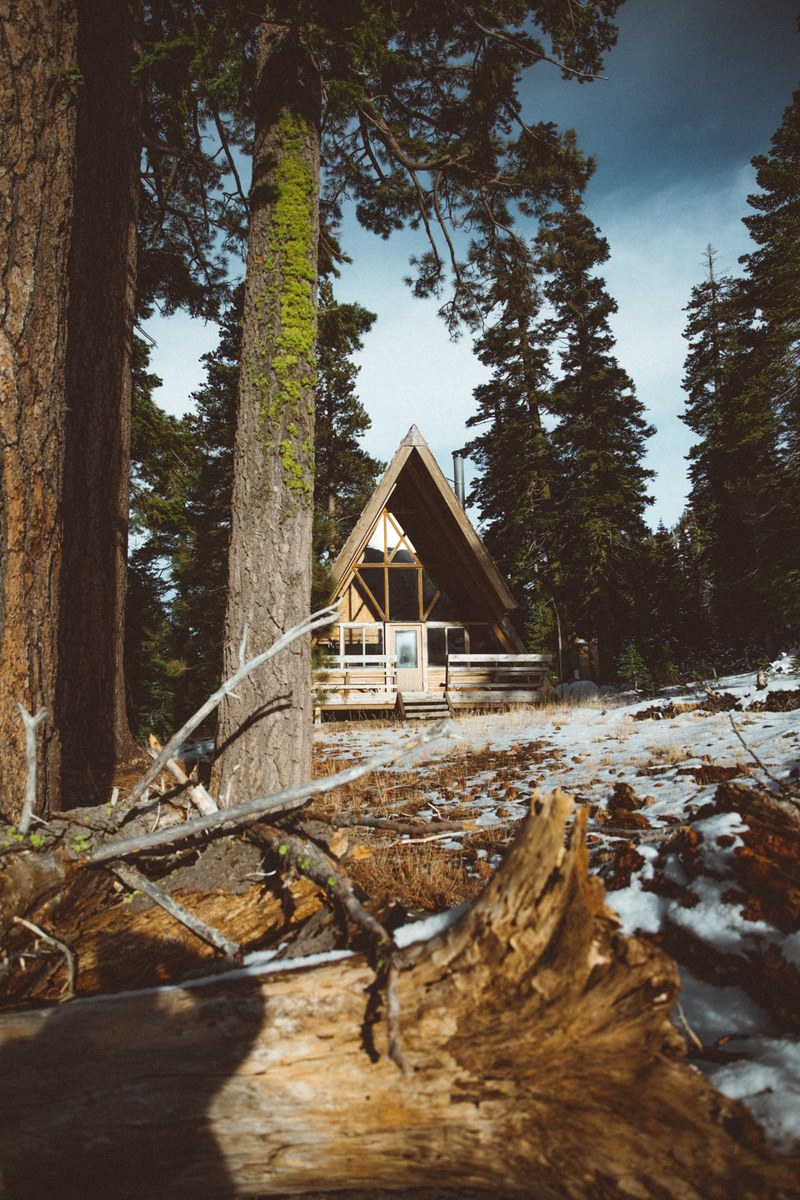 tree cabin building and house hd, 4k