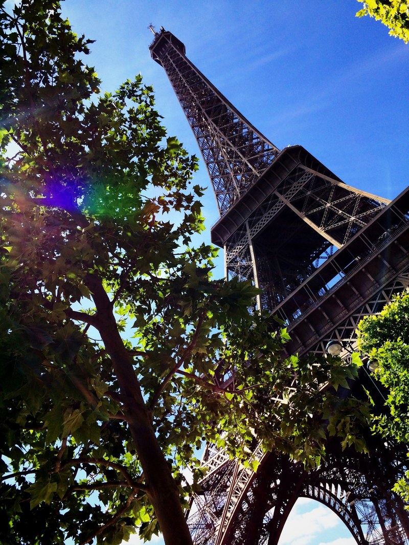 an angled shot looking up at the eiffel tower with a tree in the foreground, angled eiffel tower with tree 4k
