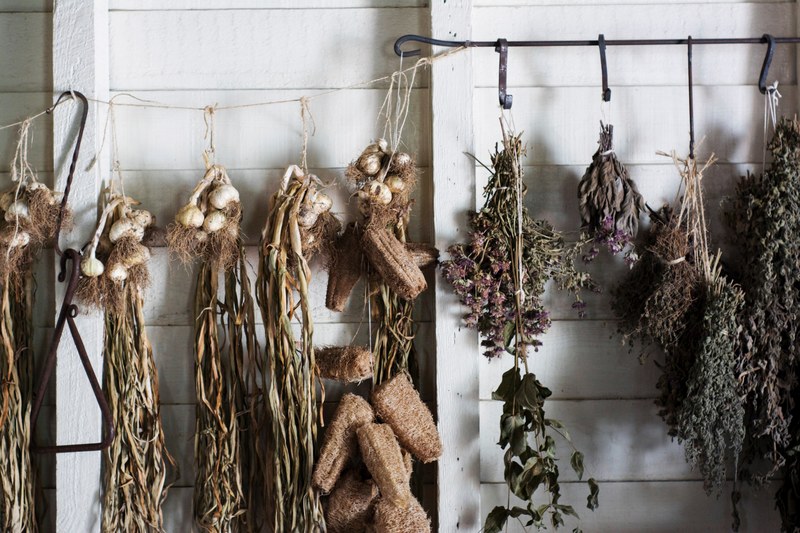 herbs vegetable produce and wall 4k