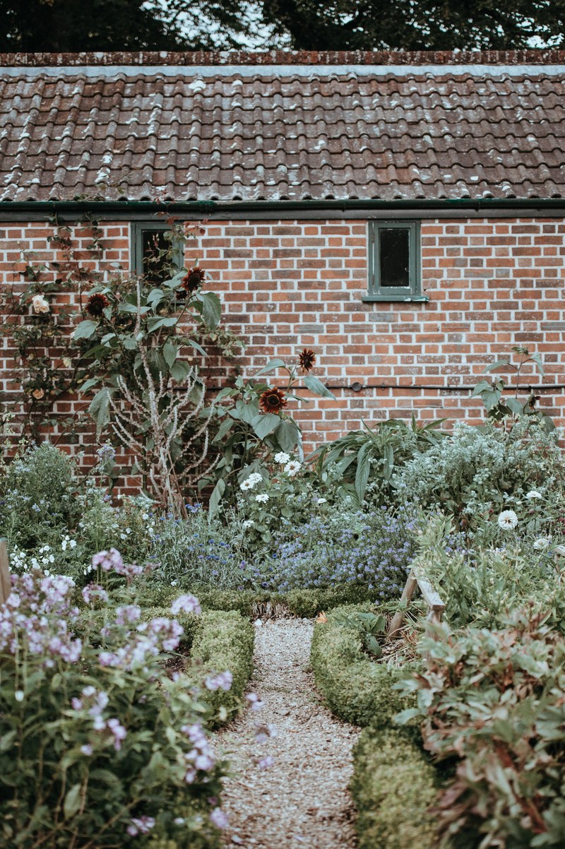 garden plants flowers and house hd, 4k