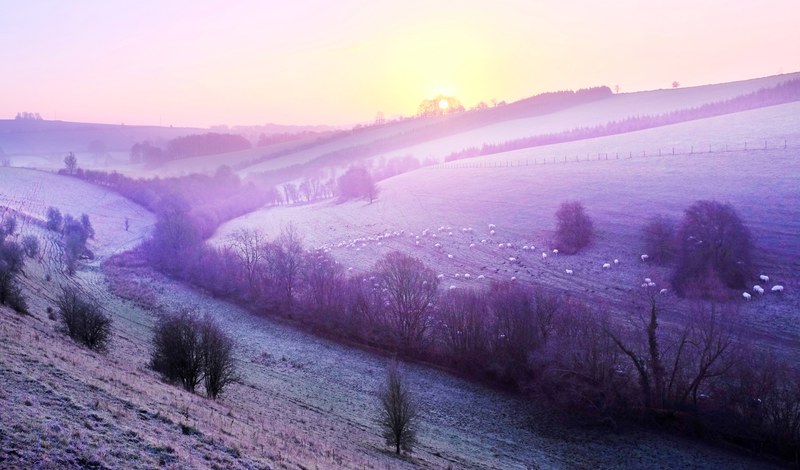 grassland pasture meadow and field 4k