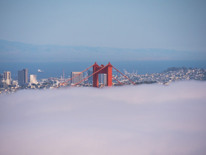 peaking through the fog 4k