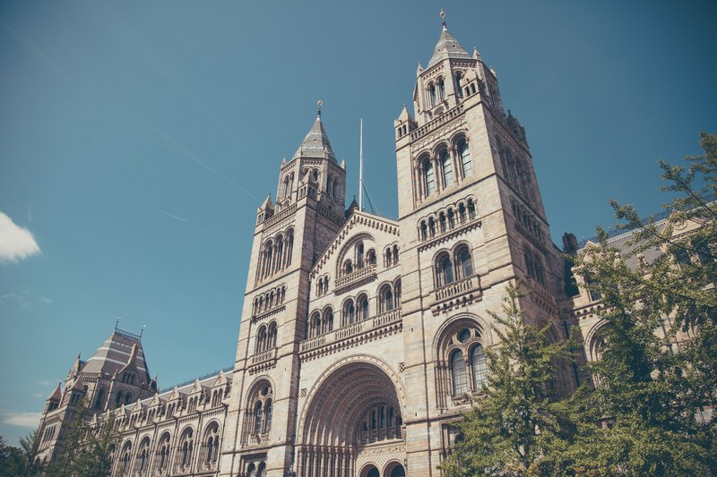 architecture building palace and historical 4k