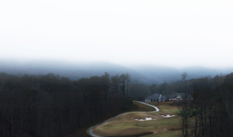 two houses at the edge of a forest surrounded by mist, desolate houses 4k