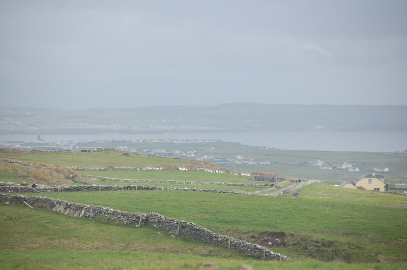 rocky fences line green pastures in cliffs of moher, foggy farm fields 4k