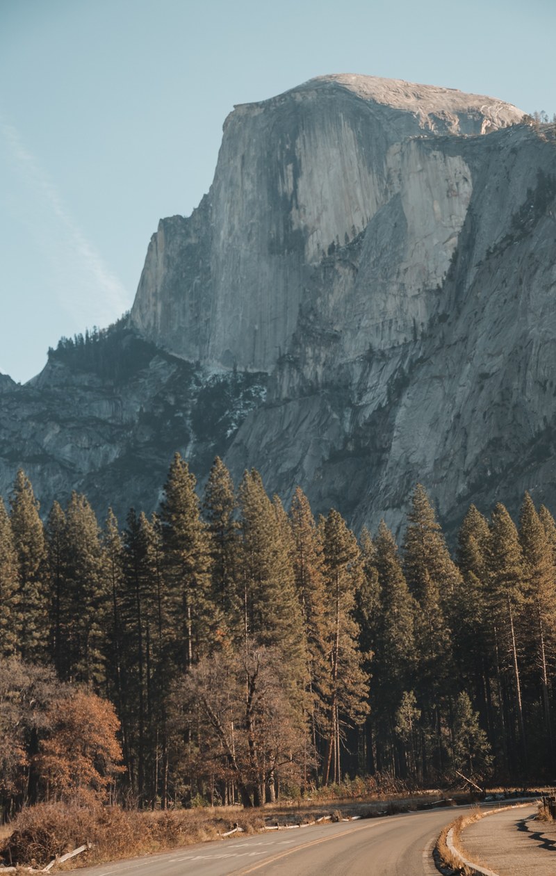 mountain rock cliff and tree hd, 4k