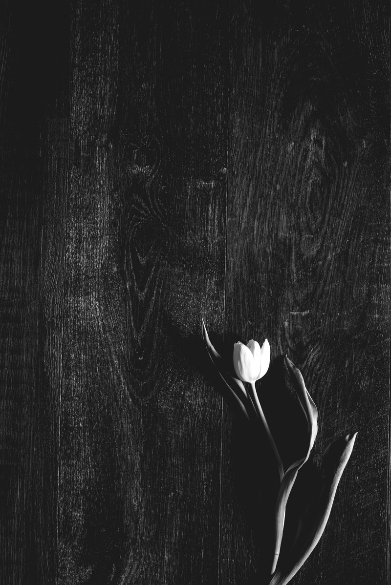 interior stilllife minimal and flower hd, 4k