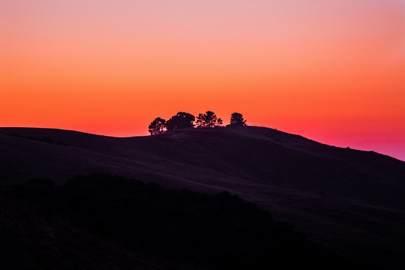 colorful orange sky creates silhouettes at sunset, central california sunset citrus 4k