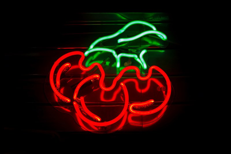 neon sign neon light and green 4k