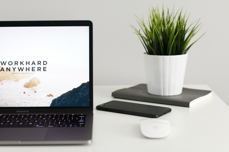 a potted plant on a notebook next to an iphone and a macbook, workhard anywhere 4k