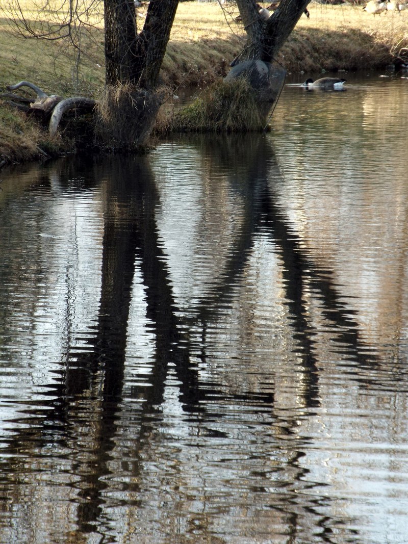 reflections 4k
