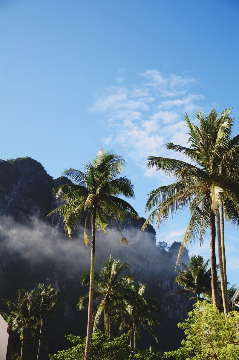 somewhere in krabi 4k