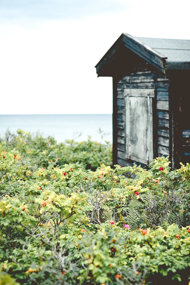 somewhere by the sea 4k