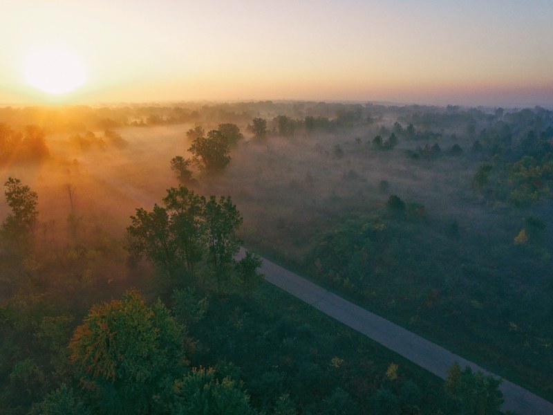 drone view of misty countryside and through road at dawn or dusk in flint michigan, misty trees and grass 4k