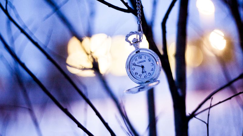 watches, branches, winter, pocket watch, 4k