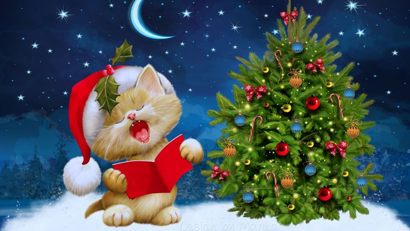 new year, christmas, cat, card, 4k
