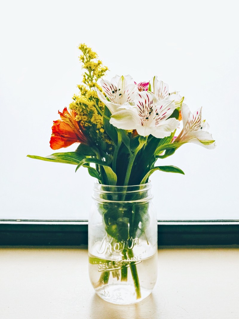 vsco iphone and organic hd, 4k