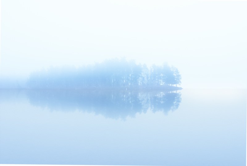 icy blue lake surrounding row of trees in conway, foggy island 4k