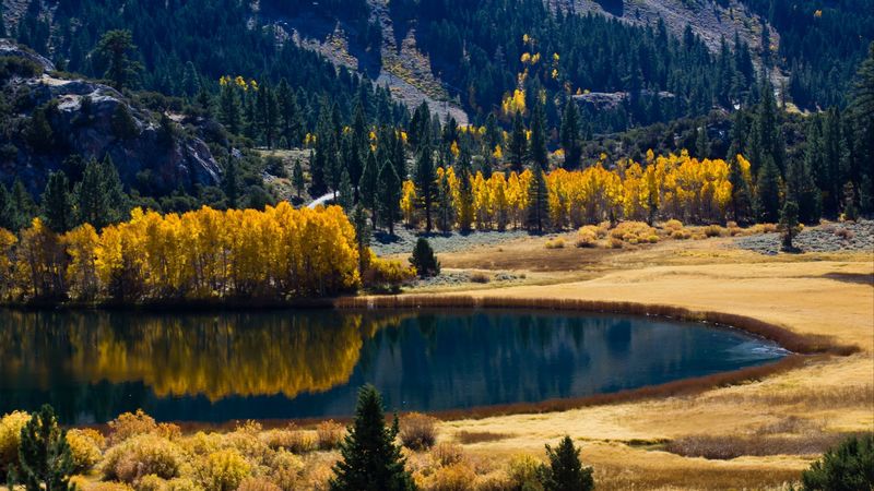 autumn, lake, trees, mountains, 4k