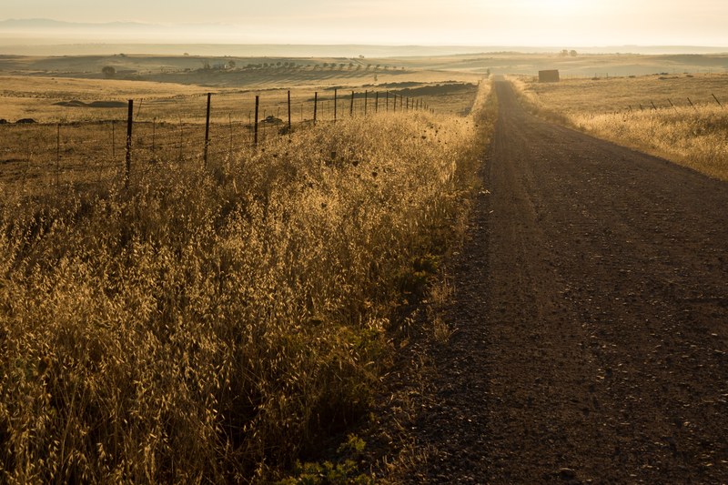 rural road through a grassy countryside landscape, rural road 4k