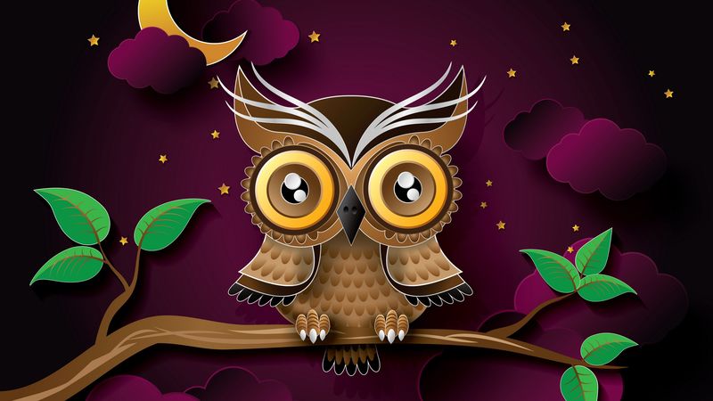 owl, bird, art, branch, 4k